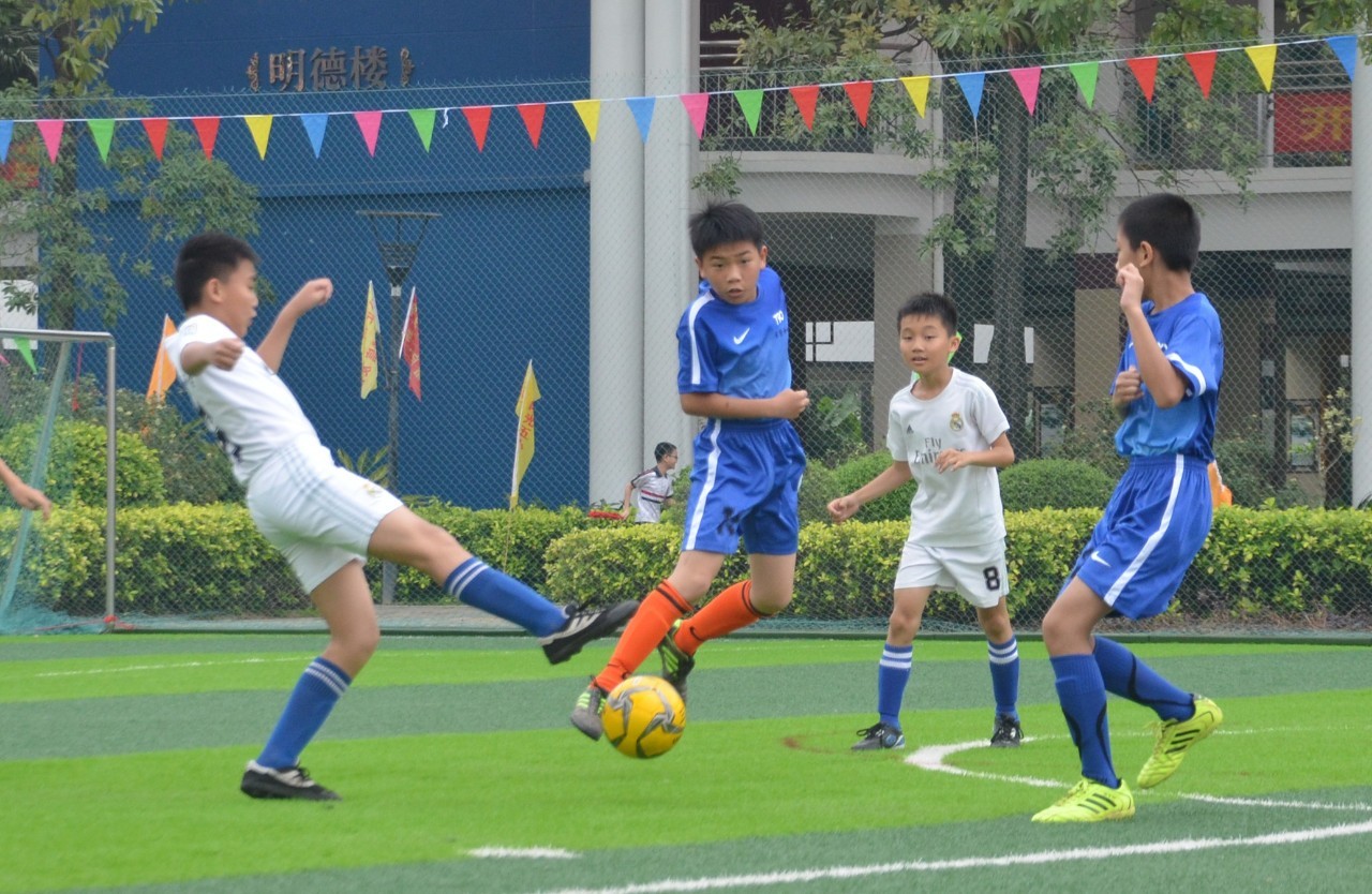 往被迫在压 往被迫在压